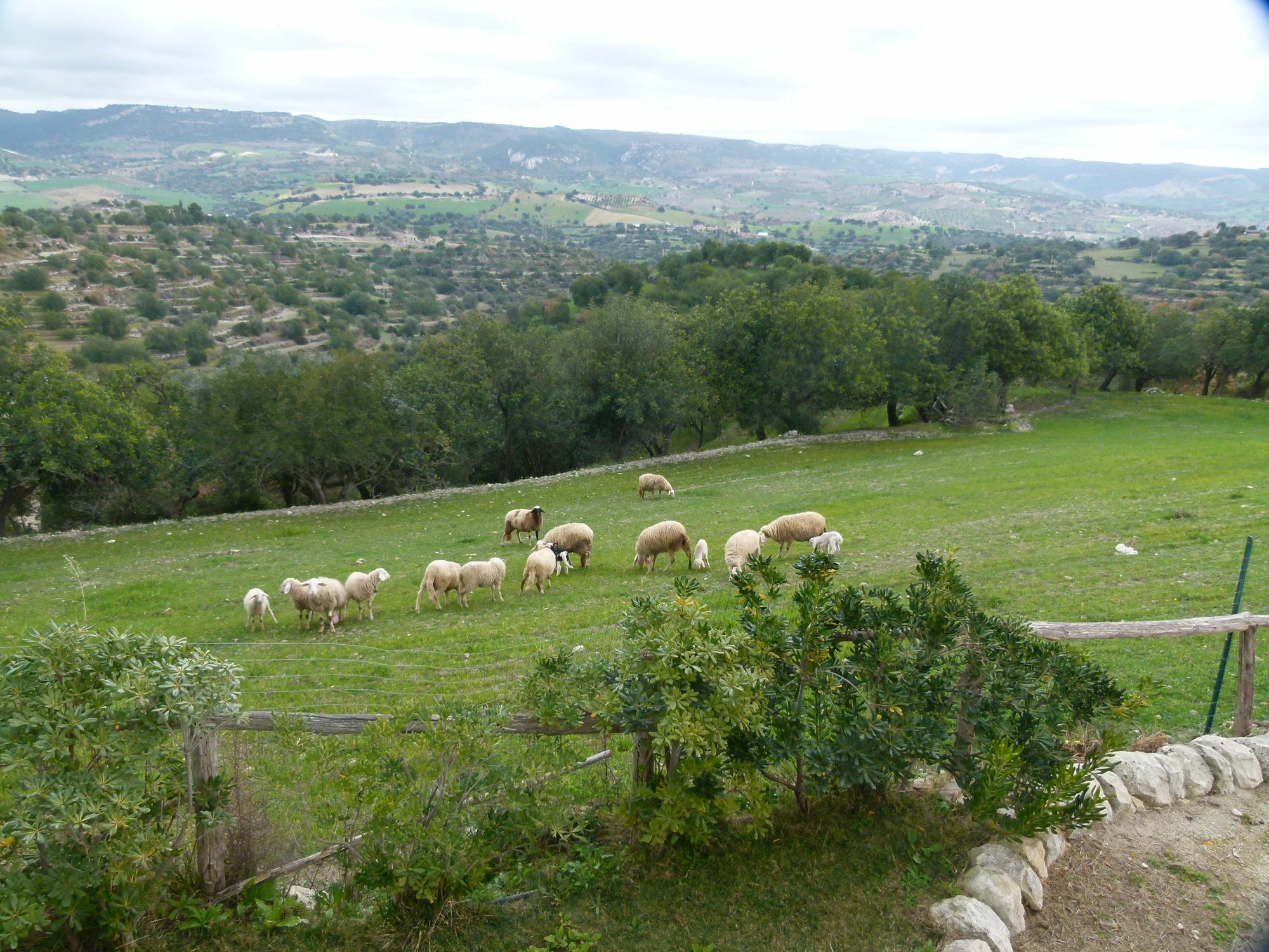 موديكا Agriturismo Villa Gaia المظهر الخارجي الصورة