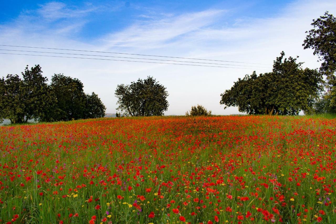 موديكا Agriturismo Villa Gaia المظهر الخارجي الصورة